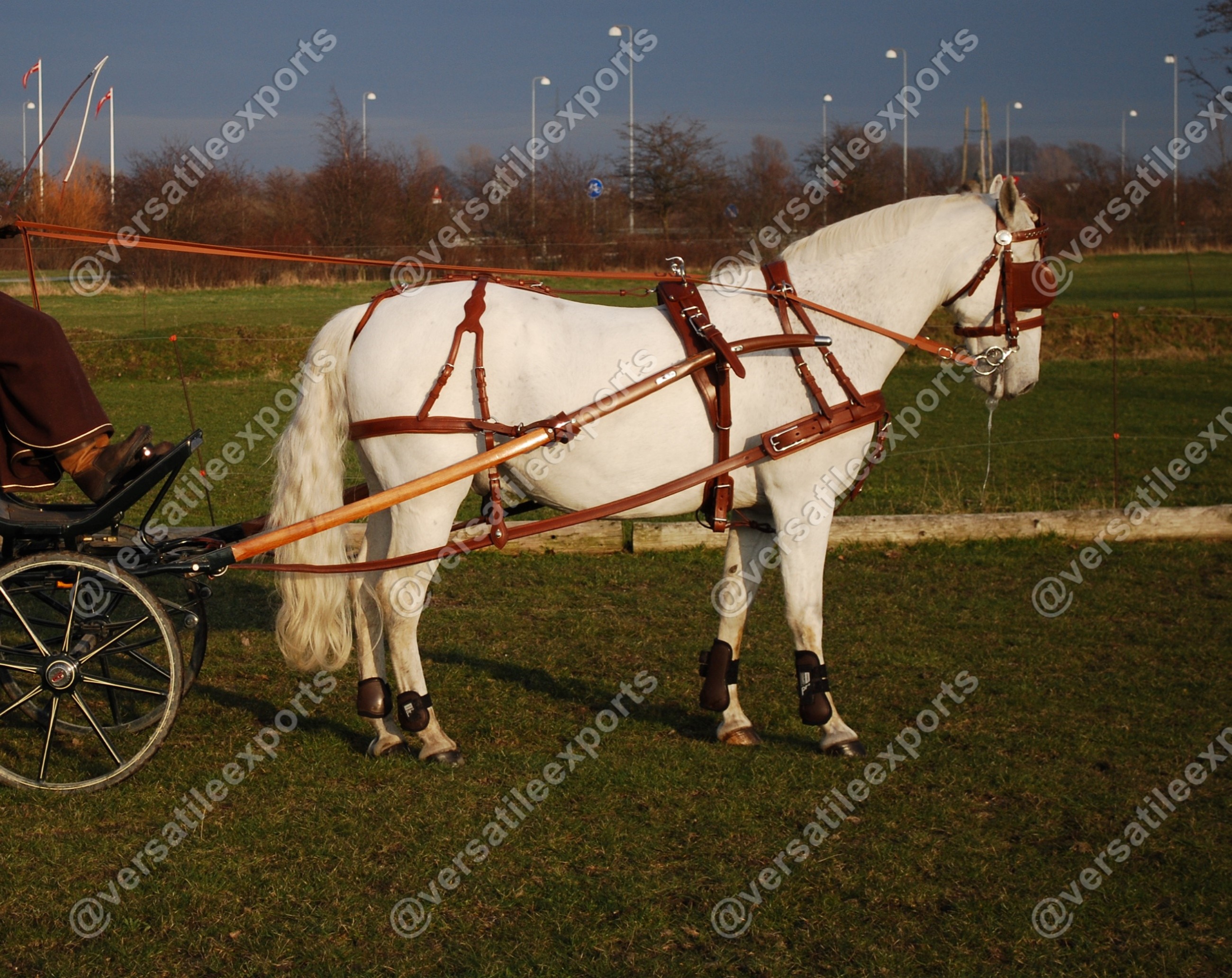 Presentation Harness